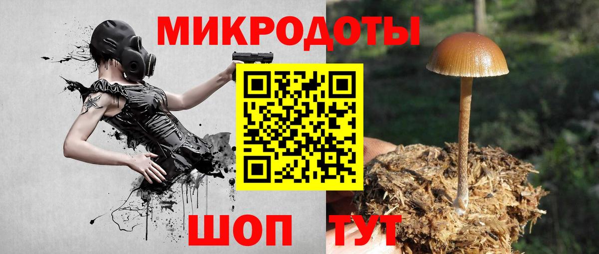 Галлюциногенные грибы мухоморы Боровичи
