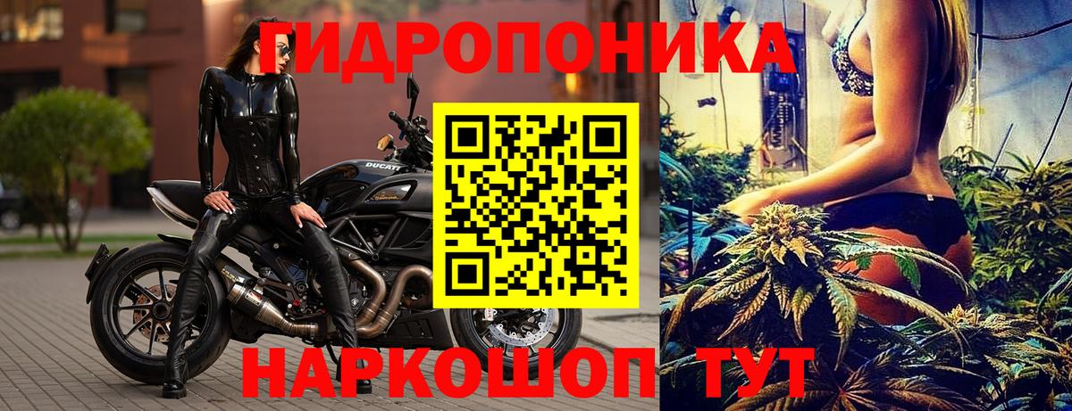 Канабис семена Боровичи